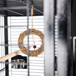 Jouet Oiseau Zolia Perle 8 Jouet Oiseau Zolia Perle -Pet Supplies Verkauf lm 8754b0a59ddf11c58e7446c9df0da541a841647598021