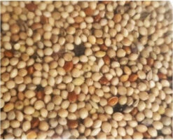 Mélange Graines Pour Oiseaux Exotiques -Pet Supplies Verkauf lm 8850efe32849d230d7f53049ddc4a4b0c601683292605