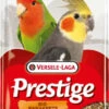Big Parakeets Prestige Grandes Perruches