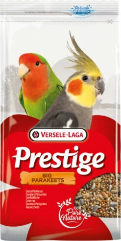 Big Parakeets Prestige Grandes Perruches